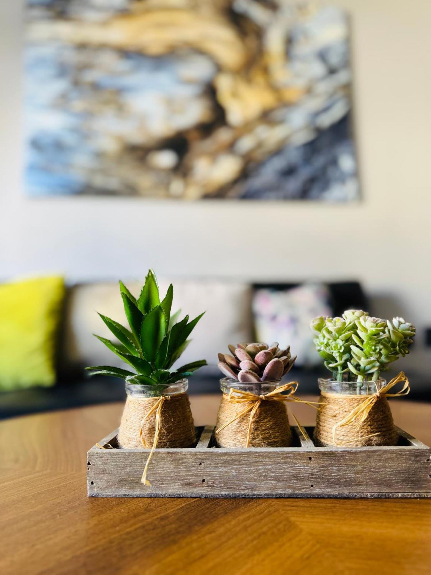 Zona Dorada: Amplio Departamento Para 12 มาซาตลัน ภายนอก รูปภาพ